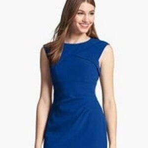NWT Vibrant Blue Adrianna Papell Dress (10)